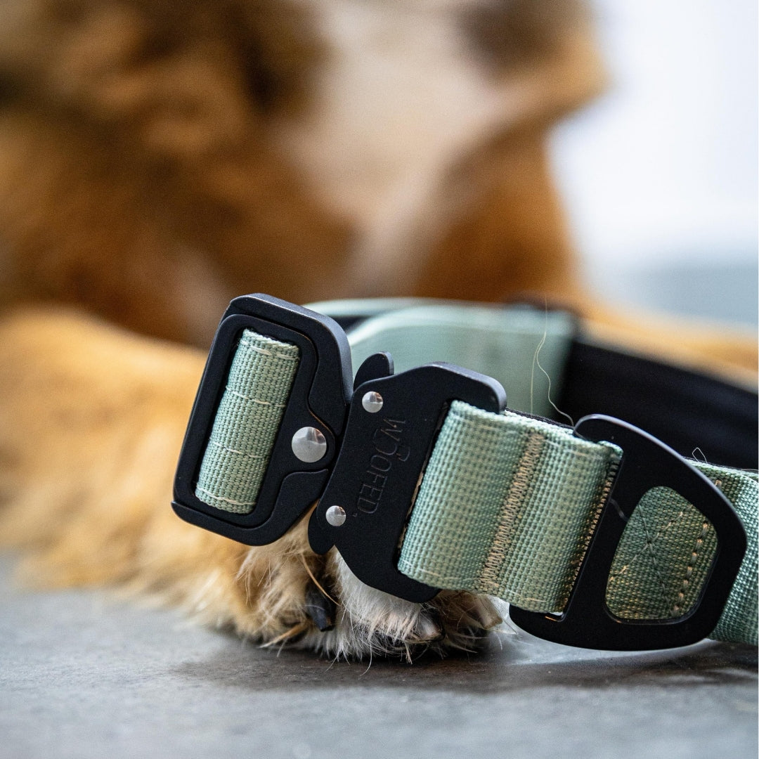 Nylon Tactical Halsband Sage Green - ultraleicht