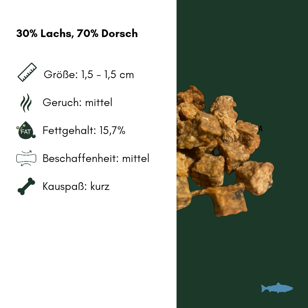 Nahaufnahme brauner unregelmäßiger Lachswürfel (ca. 1,5 cm) auf dunkelgrünem Hintergrund, Info-Text links