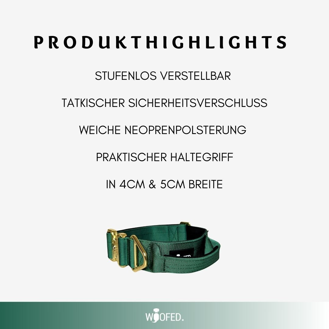 taktisches Nylon Halsband Emerald Green