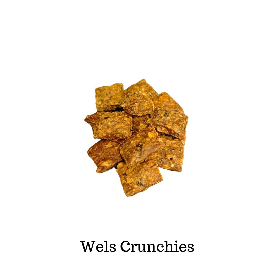 Fischliebhaber Bundle 5er