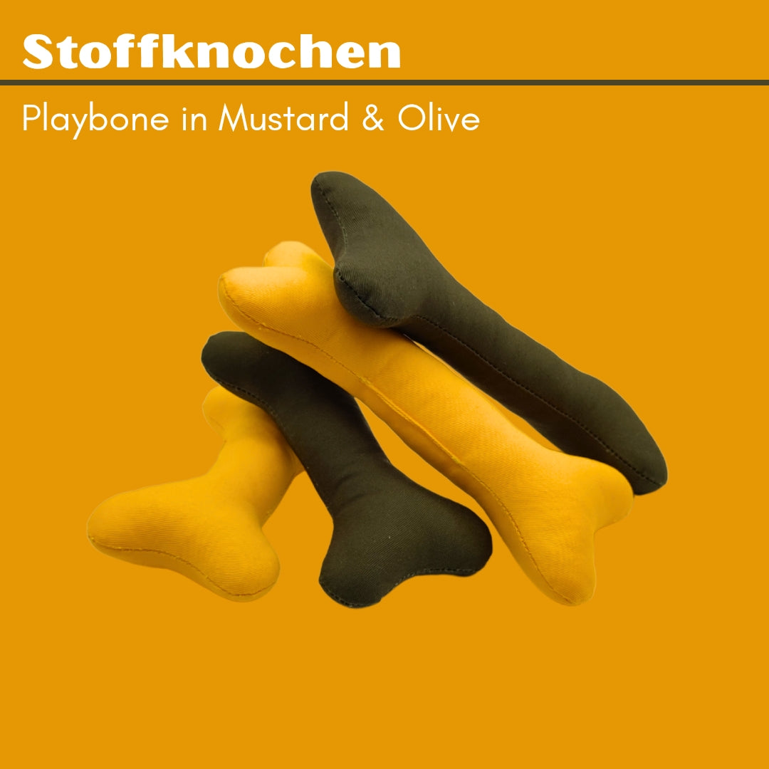 Fabric bones Playbone