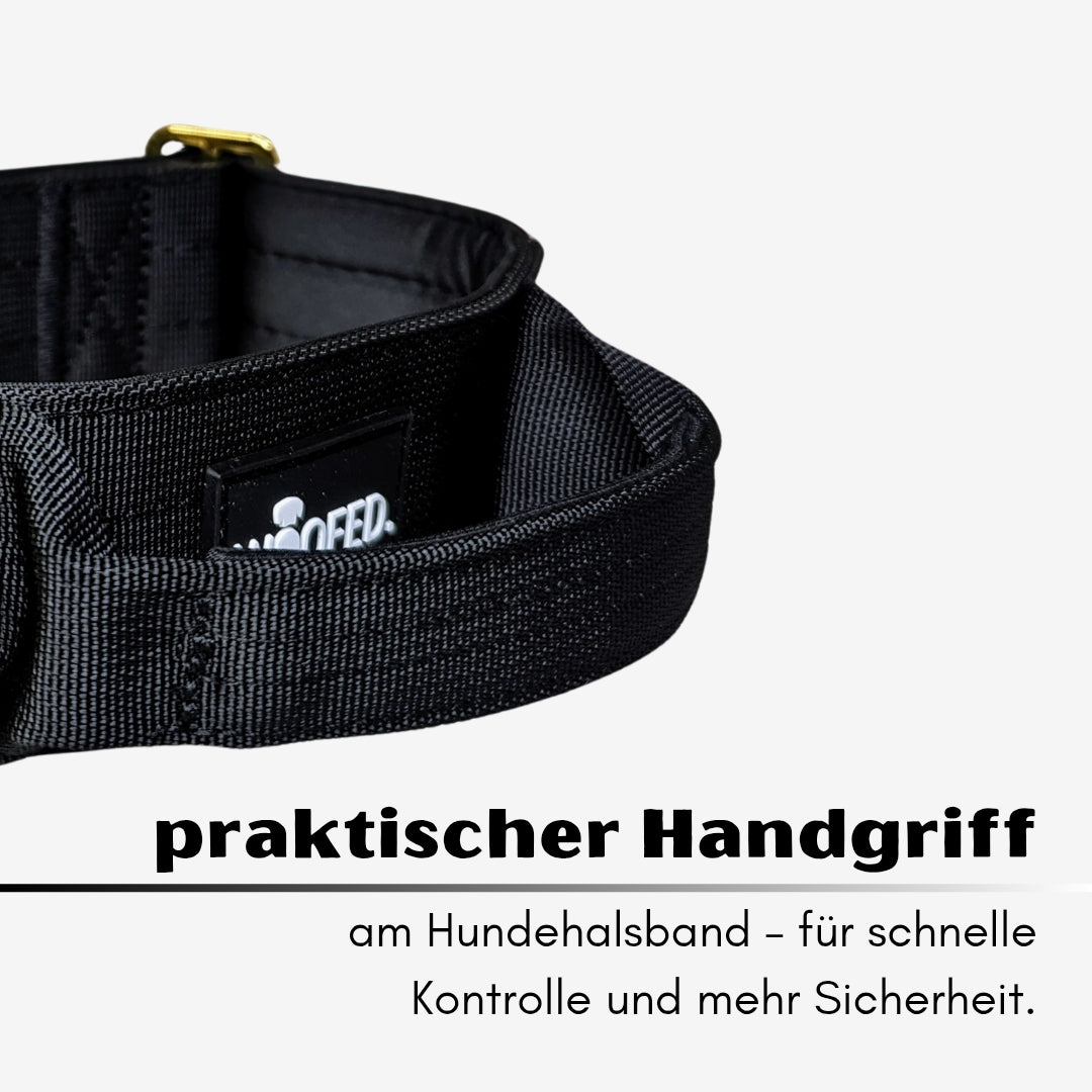 taktisches Nylon Halsband Black Gold
