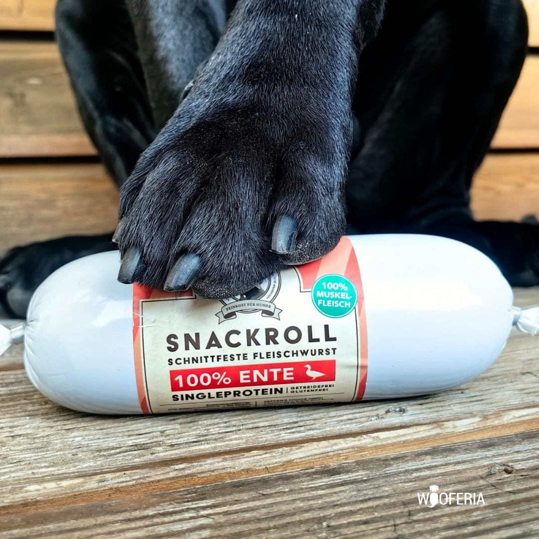 Hundewurst Ente