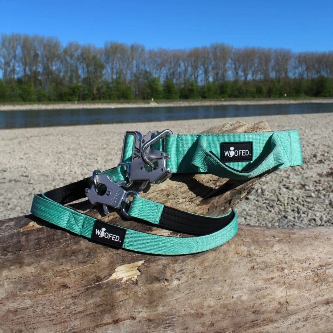 taktisches Nylon Halsband Seafoam