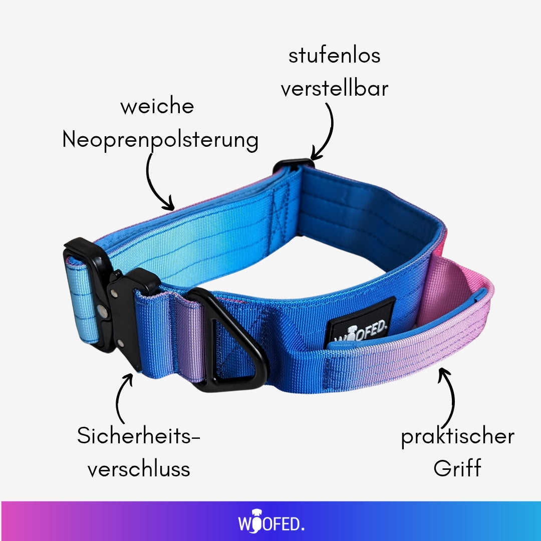 taktisches Nylon Halsband Pink Blue Sky