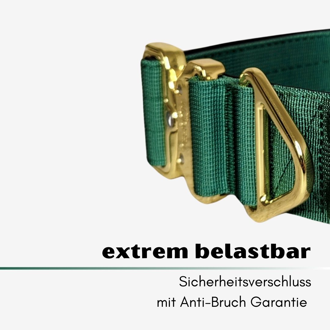 taktisches Nylon Halsband Emerald Green