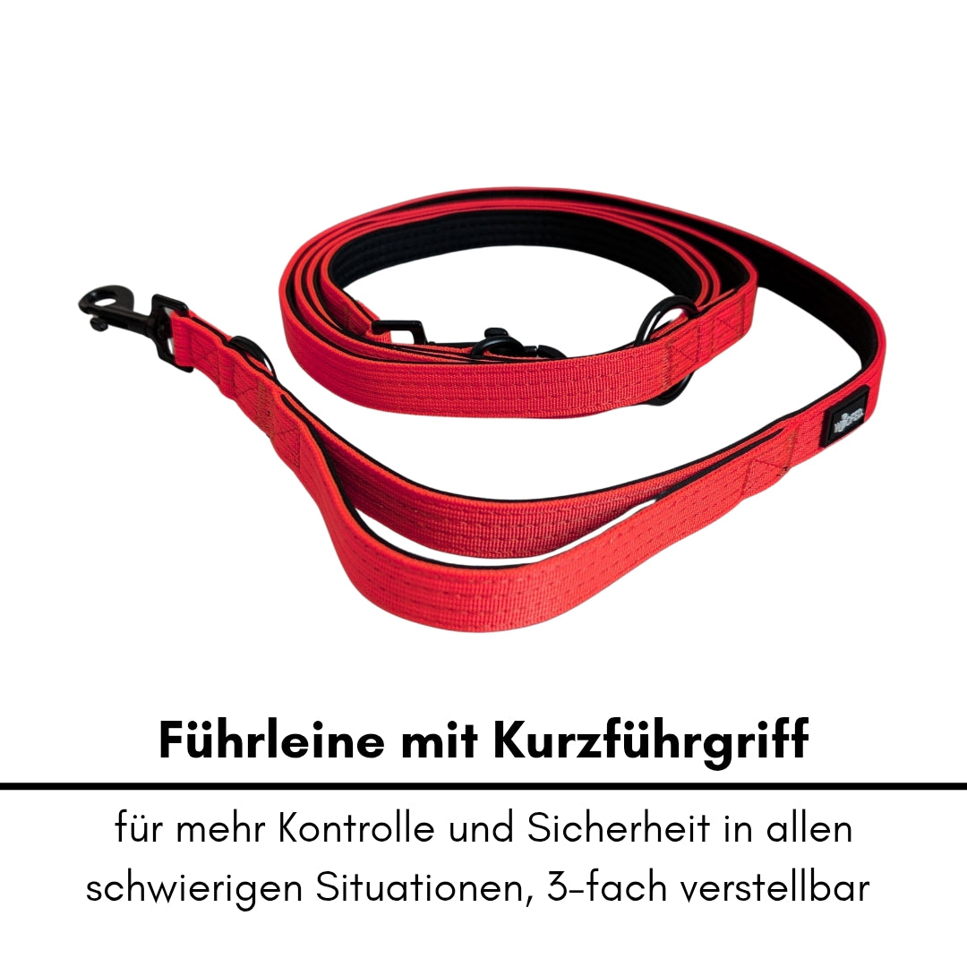 Nylon Classic Führleine Rosso Red