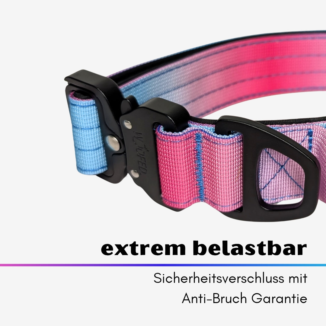 taktisches Nylon Halsband Pink Blue Sky - ultraleicht