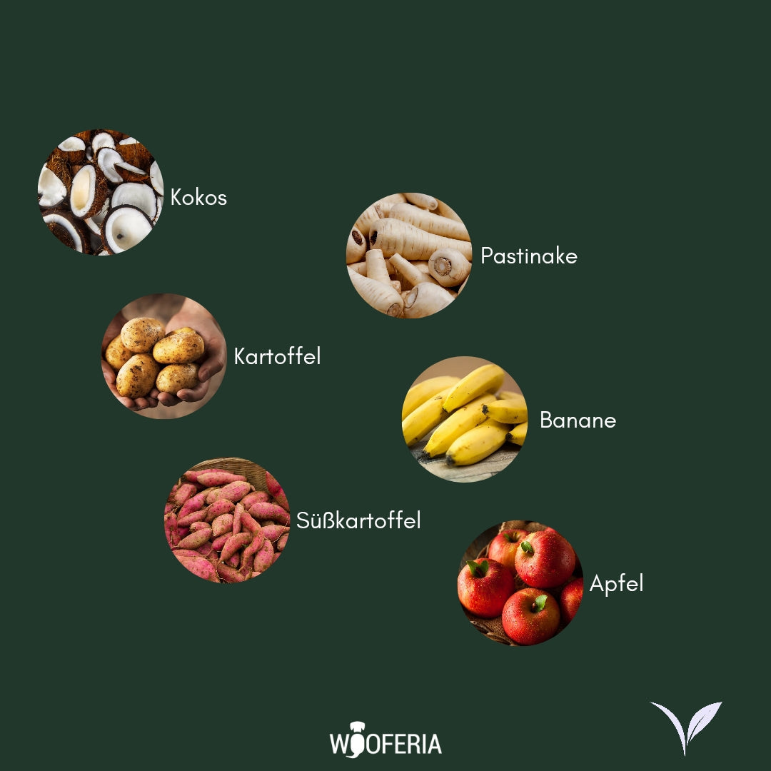 Kokos Trainingssnack