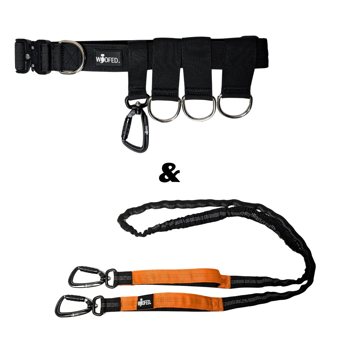 Gassigrtel Joggingleine Bundle