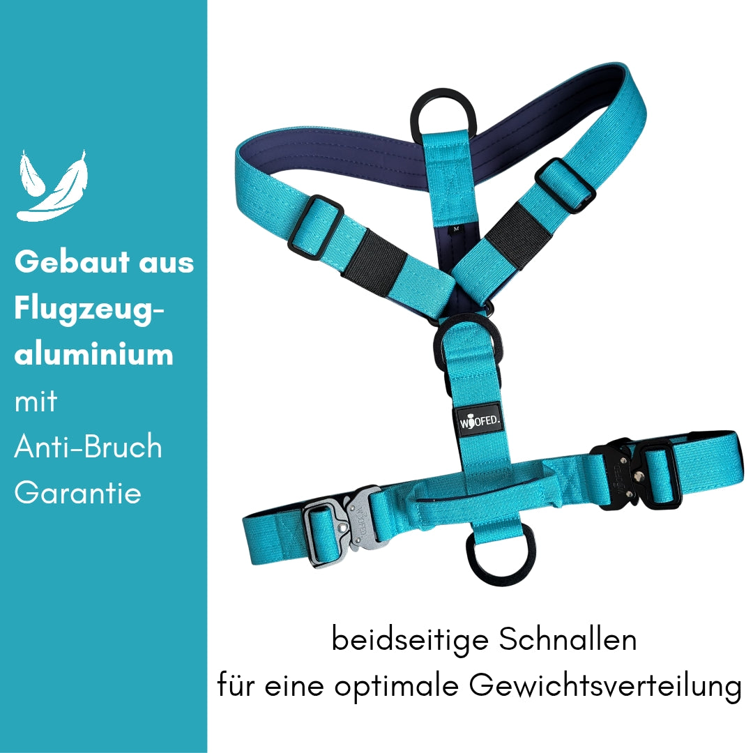 Y-Hundegeschirr 4fach-verstellbar mit Griff und Sicherheitsschnallen Arctic Sky - ultraleicht