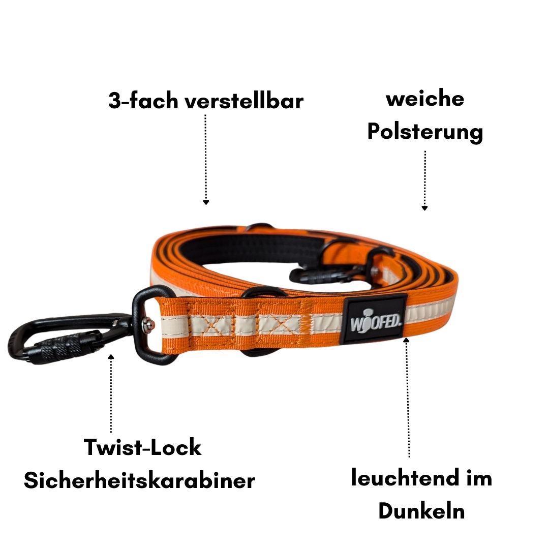 Nylon Führleine Safety Lock Orange Glow