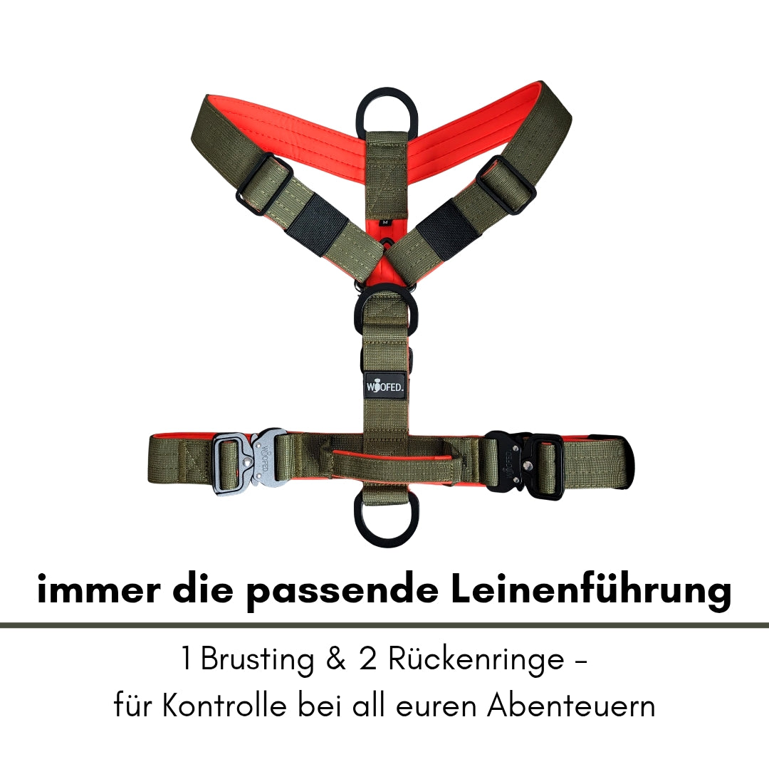 Y-Hundegeschirr olivgrün mit leuchtend orangefarbener Polsterung, frontal flach liegend, Ringe und Metallverschluss sichtbar