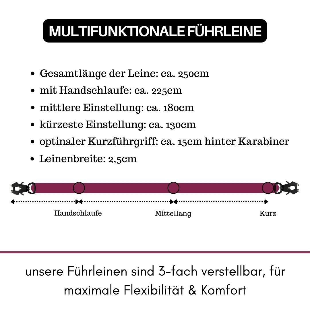 Nylon Tactical Führleine Bordeaux
