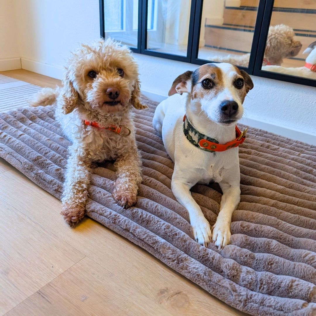 Reisedecke Premium Travel Mocha