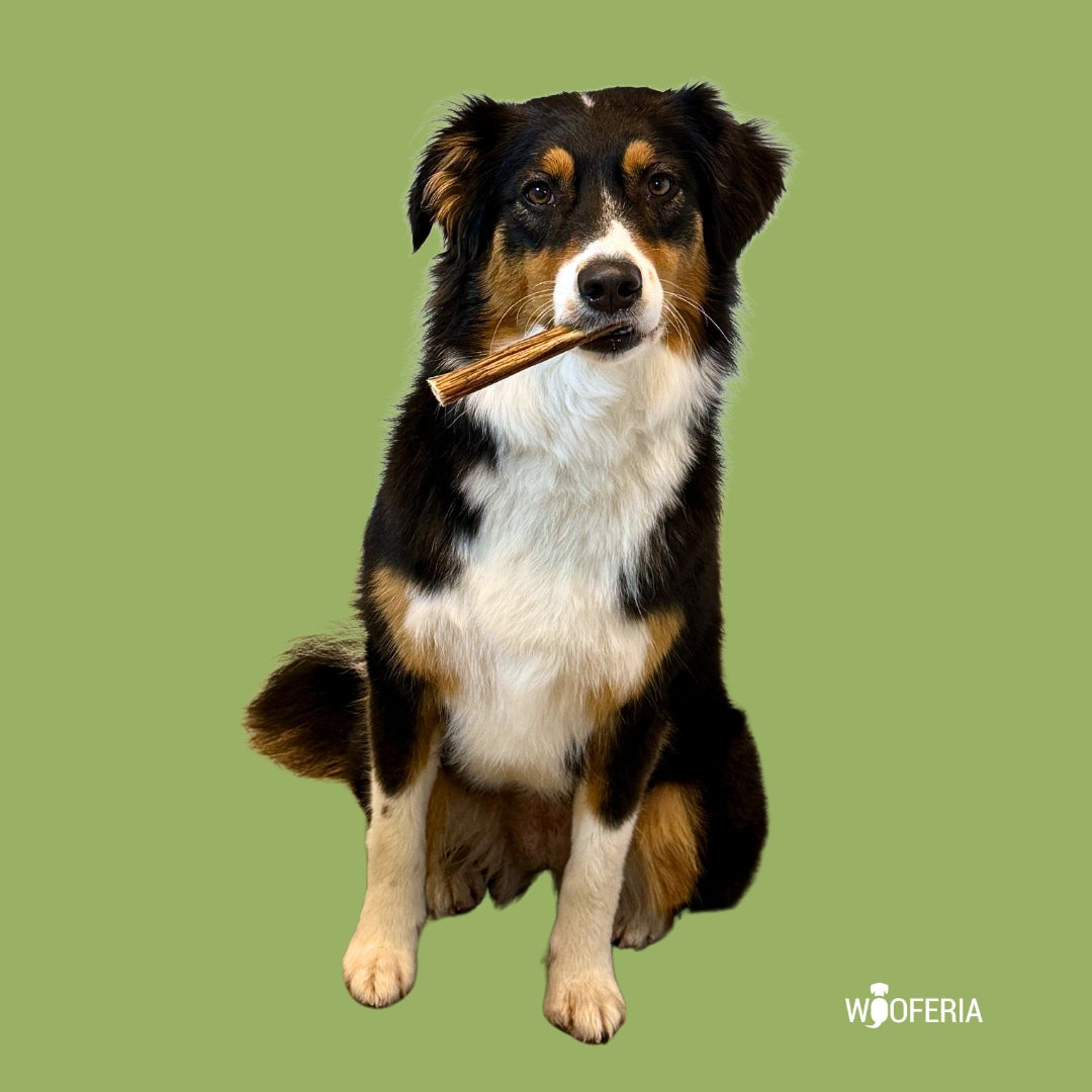 Ochsenziemer Stücke