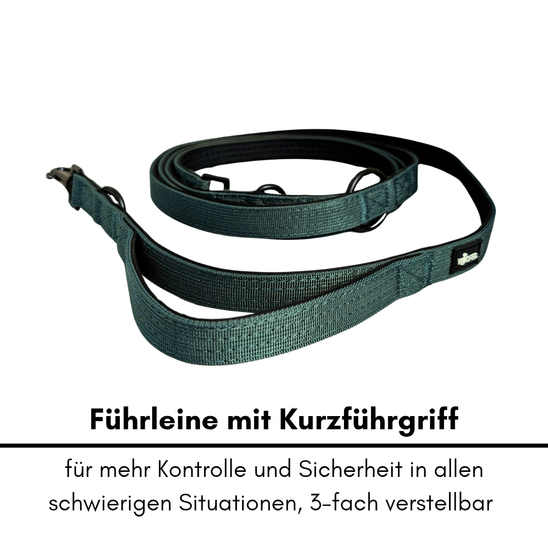 Nylon Classic Führleine Dark Green