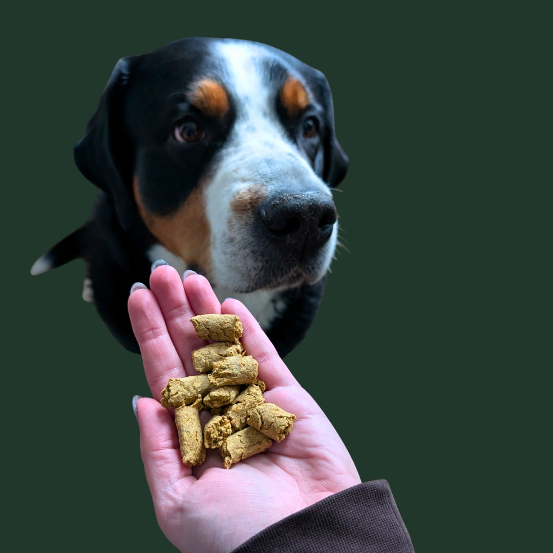 Fisch Trainingssnack