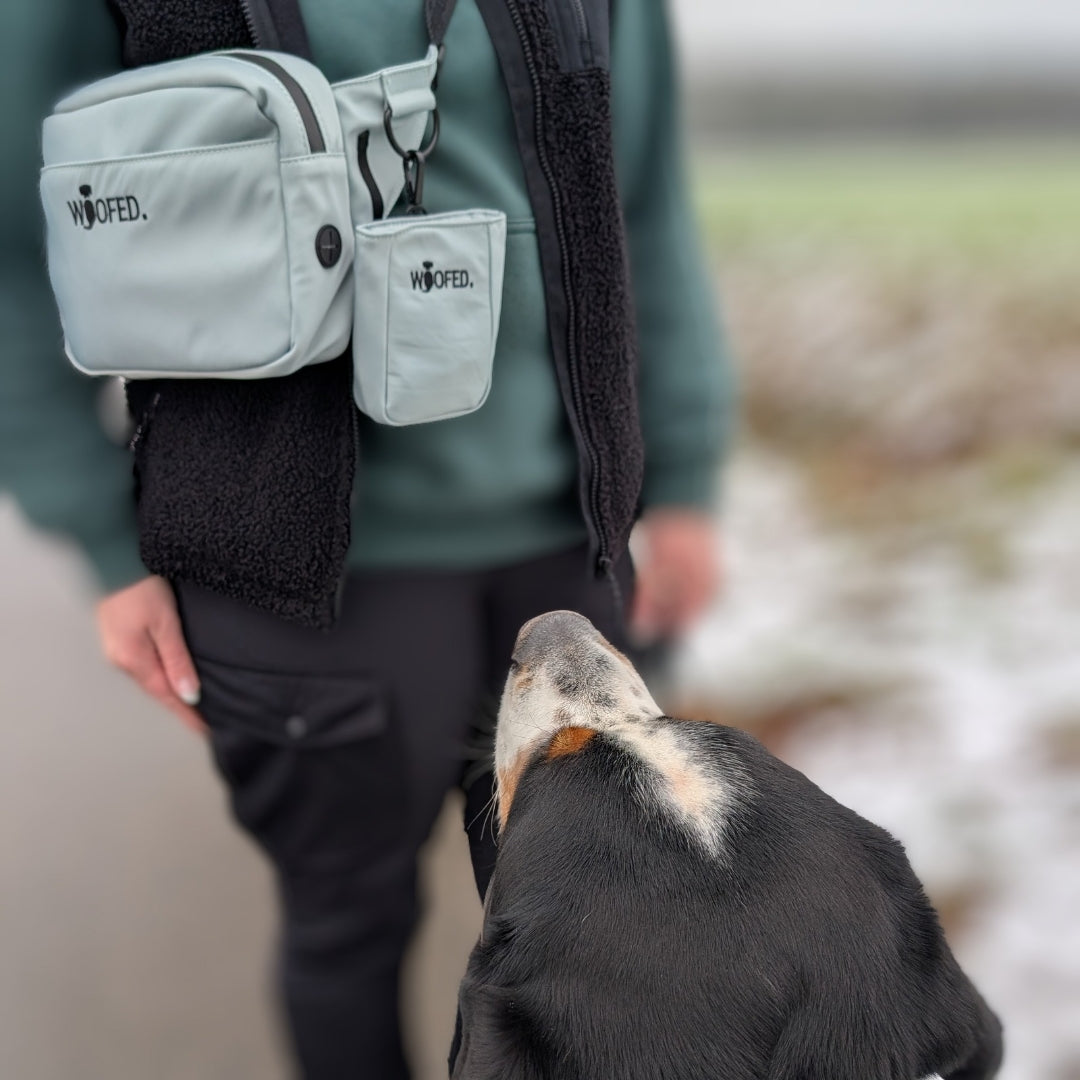 Multifunktionale Gassitasche - 2 in 1 Bauchtasche & Schultertasche Sage