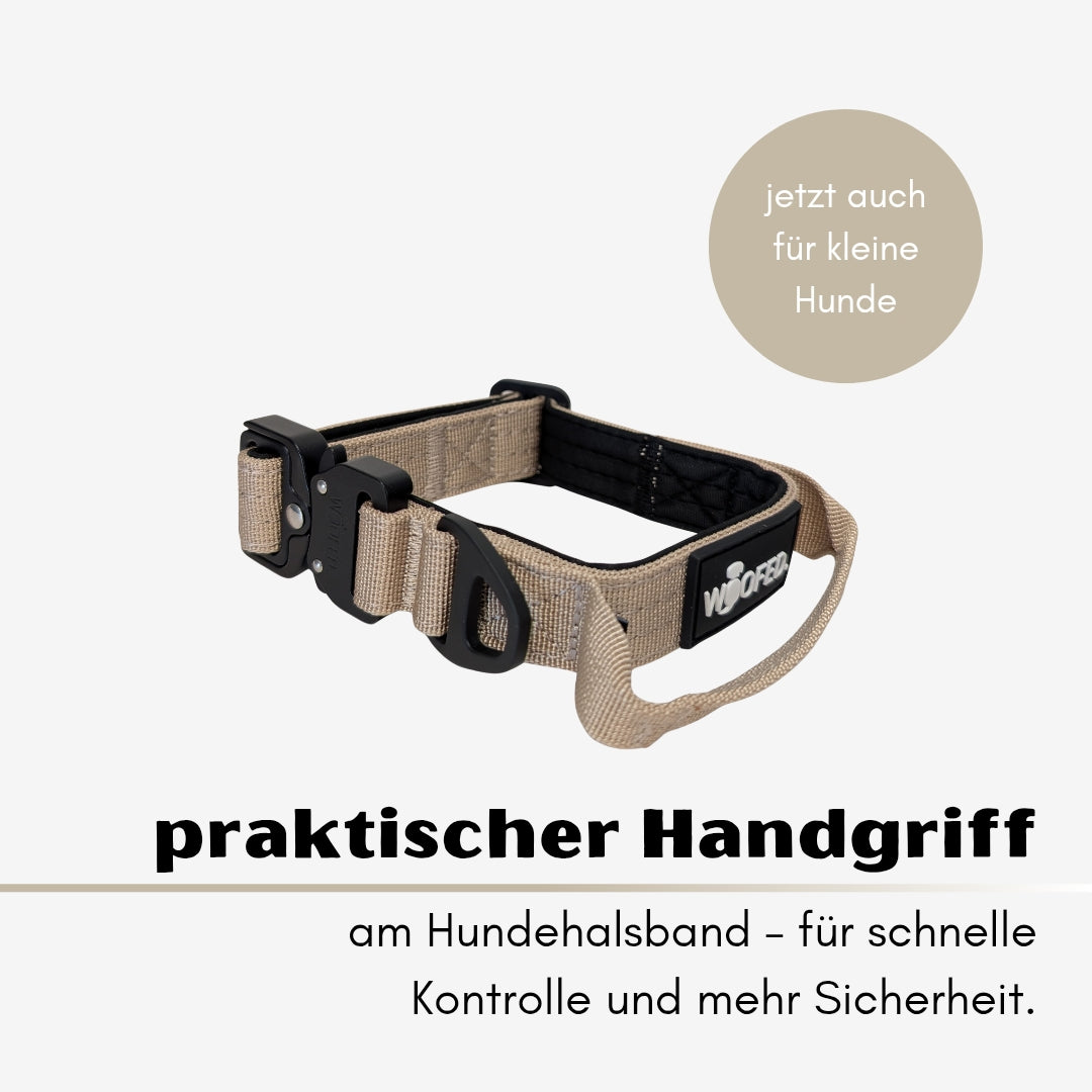taktisches Nylon Halsband für kleine Hunde Desert Tan