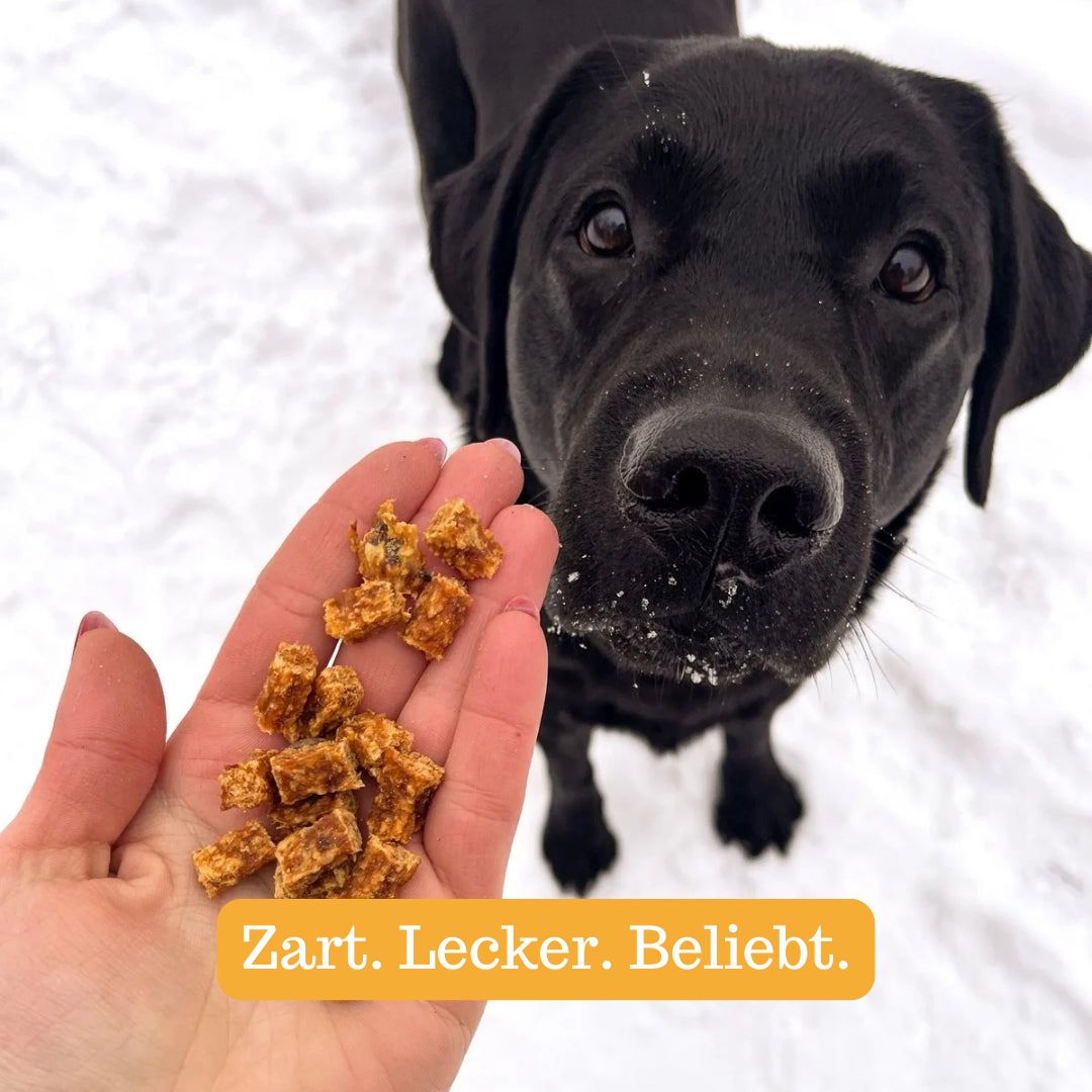 Geflügelliebhaber Bundle 5er