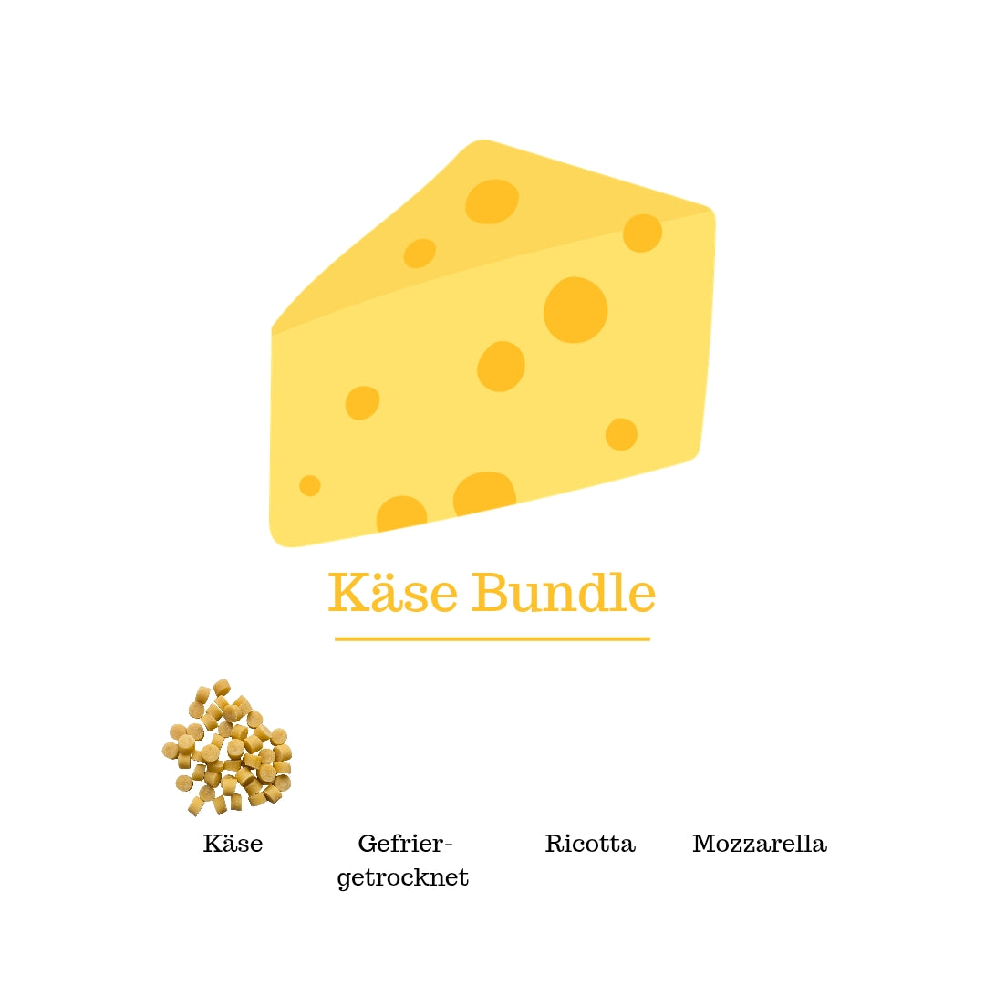 Käseliebhaber Bundle 4er