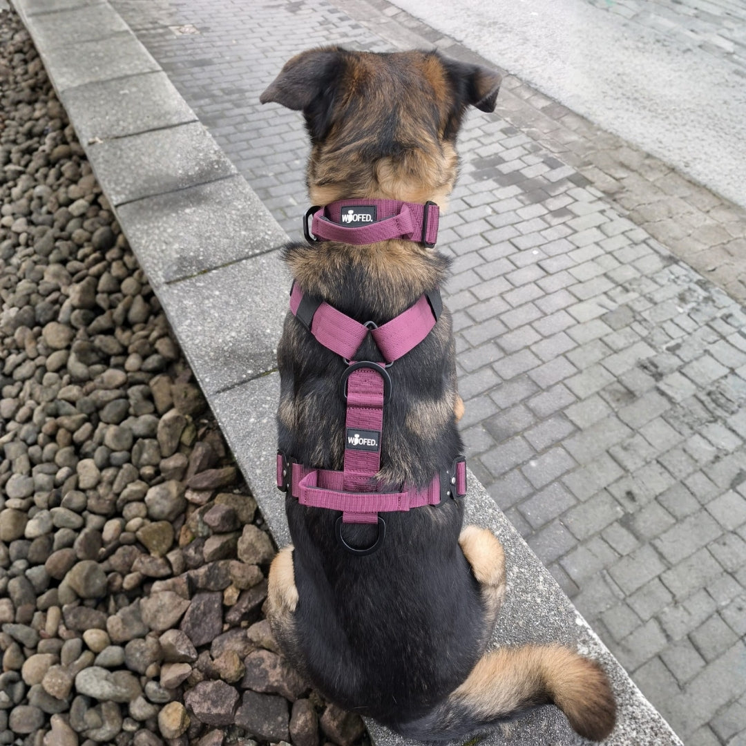 Y-Hundegeschirr 4fach-verstellbar mit Griff und Sicherheitsschnallen Bordeaux - ultraleicht