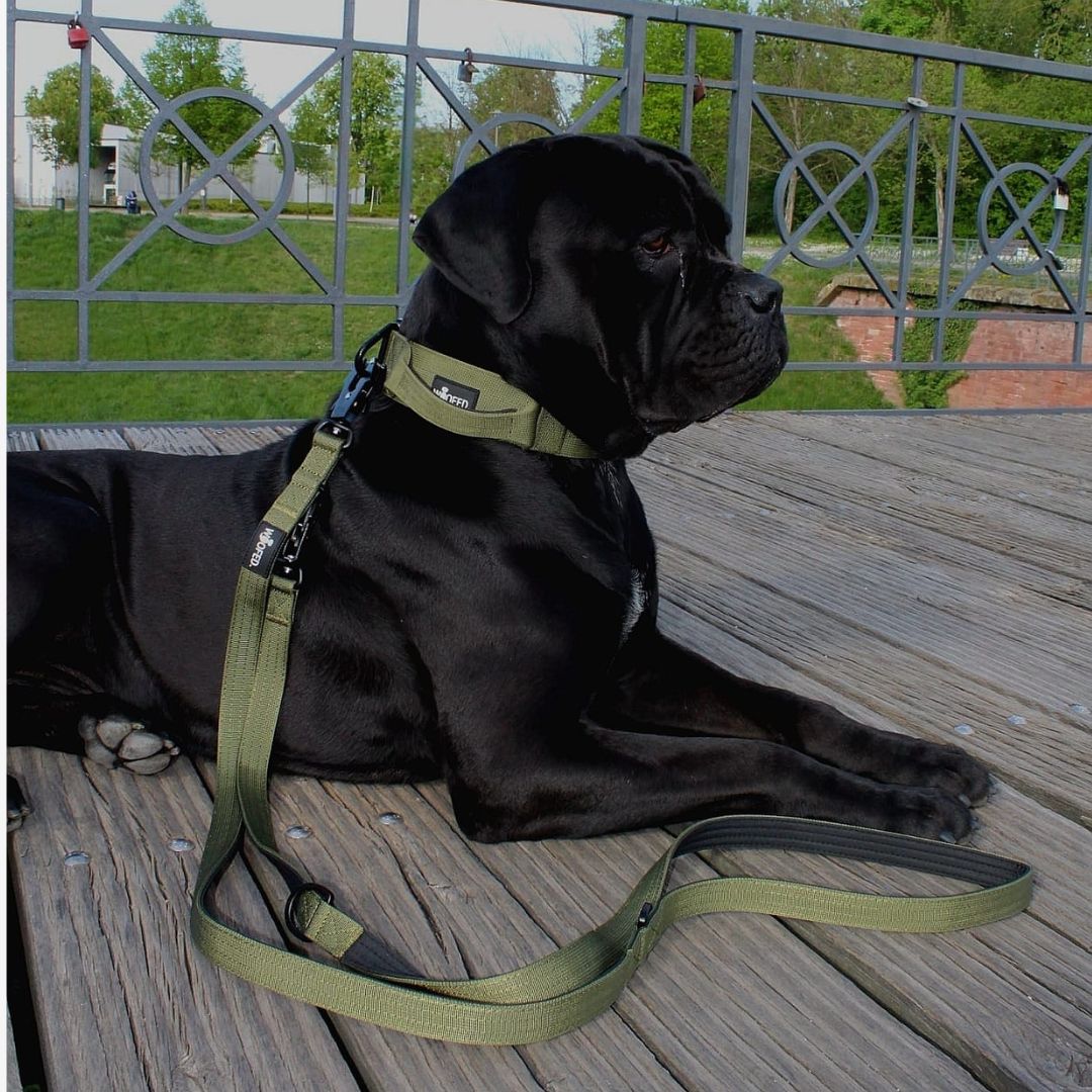 Nylon Tactical Lead Military Olive
