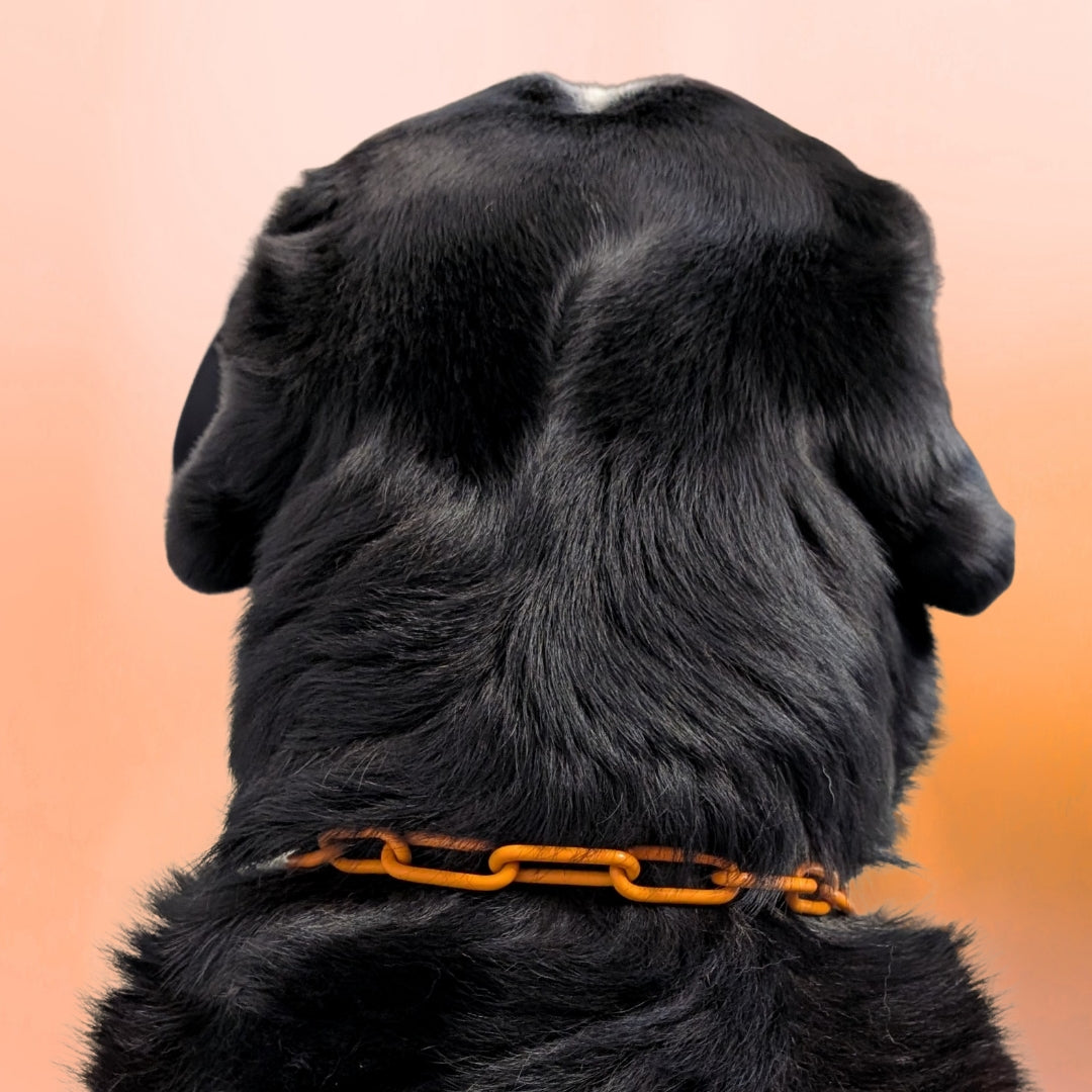 Woofchain Kettenhalsband aus Edelstahl Orange