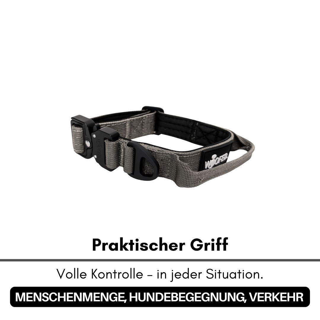 taktisches Nylon Halsband für kleine Hunde Anthracite