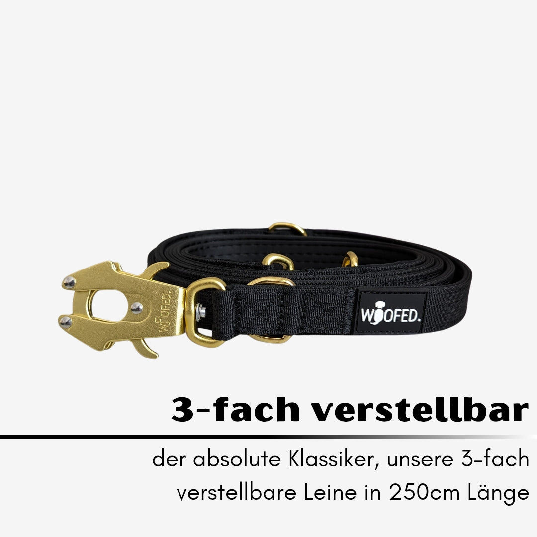 taktische Nylon Führleine Black Gold