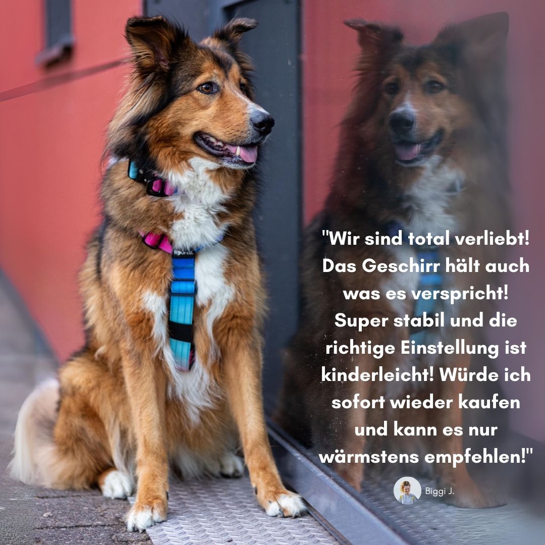 Y-Hundegeschirr 4fach-verstellbar mit Griff und Sicherheitsschnallen Pink Blue Sky - ultraleicht