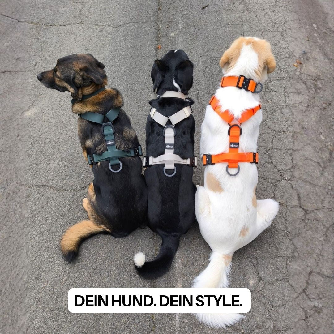 Y-Hundegeschirr WOOFLEX® 4fach-verstellbar mit Griff und Sicherheitsschnallen Hunting Green - wasserfest