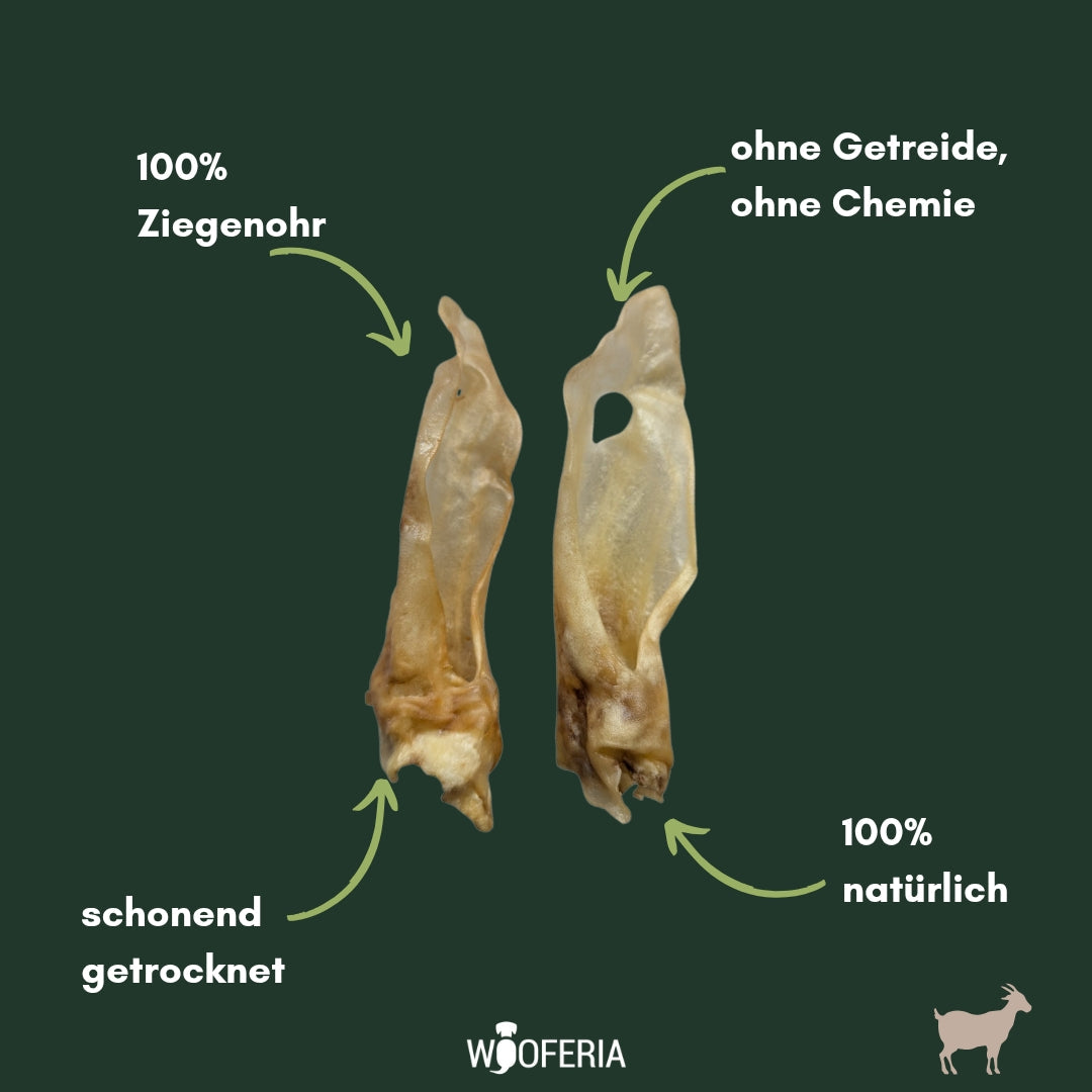 Ziegenohren