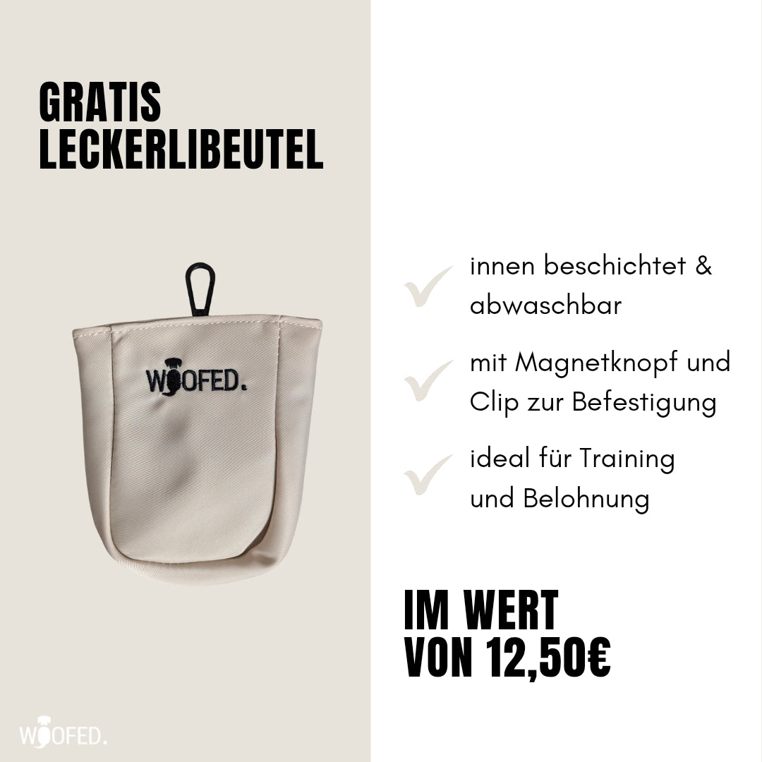 Multifunktionale Gassitasche - 2 in 1 Bauchtasche & Schultertasche Beige