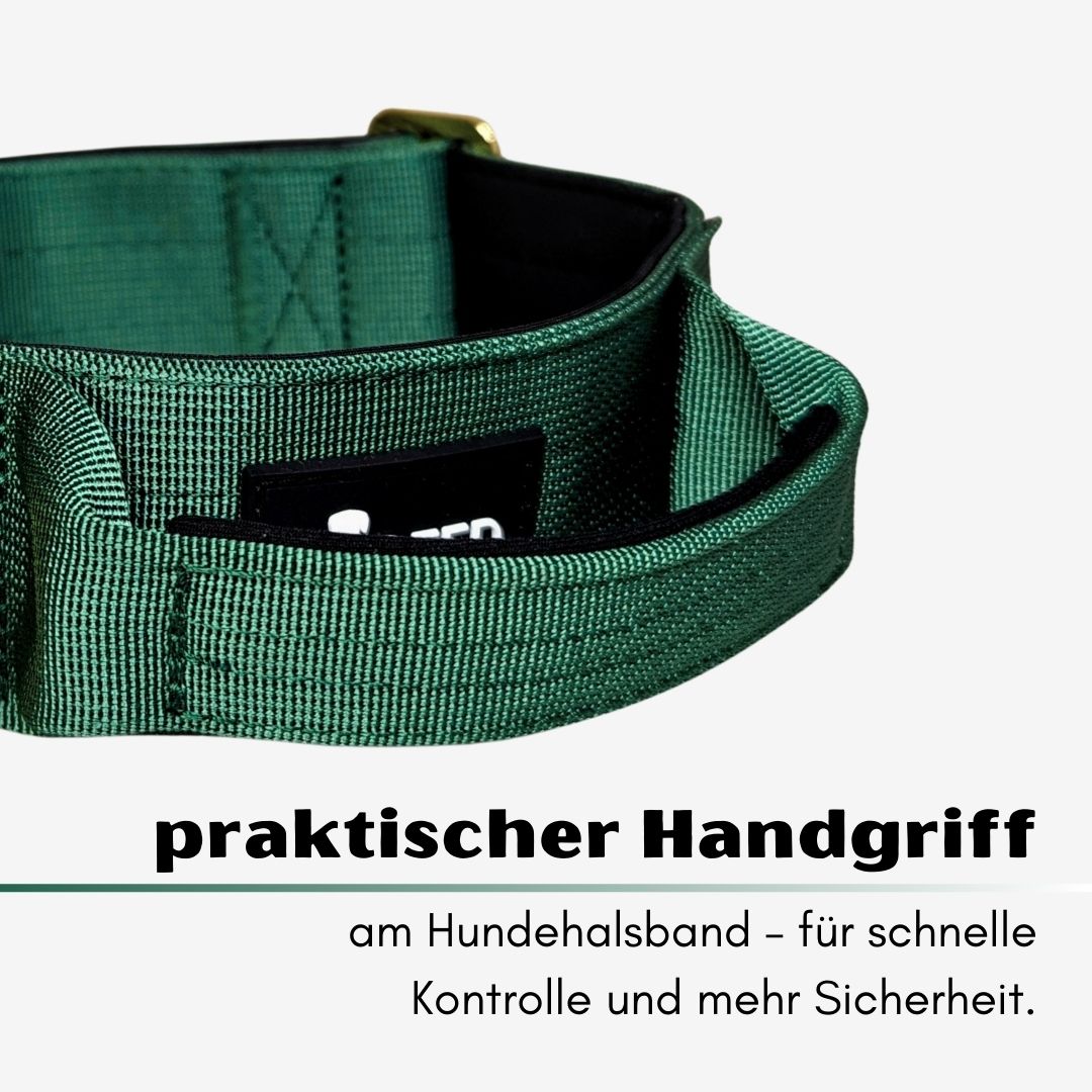 taktisches Nylon Halsband Emerald Green