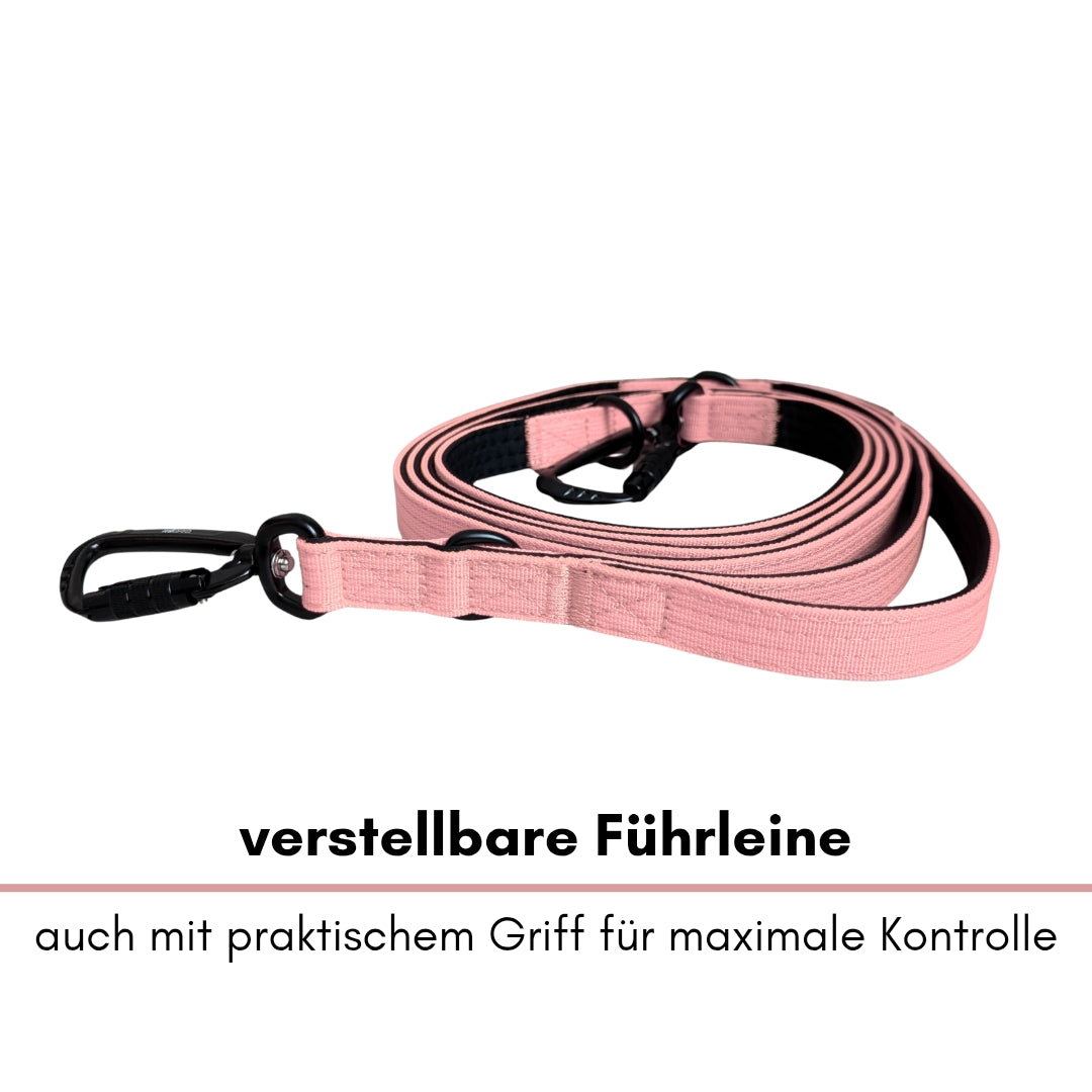 Nylon Pro Führleine Dusty Rose