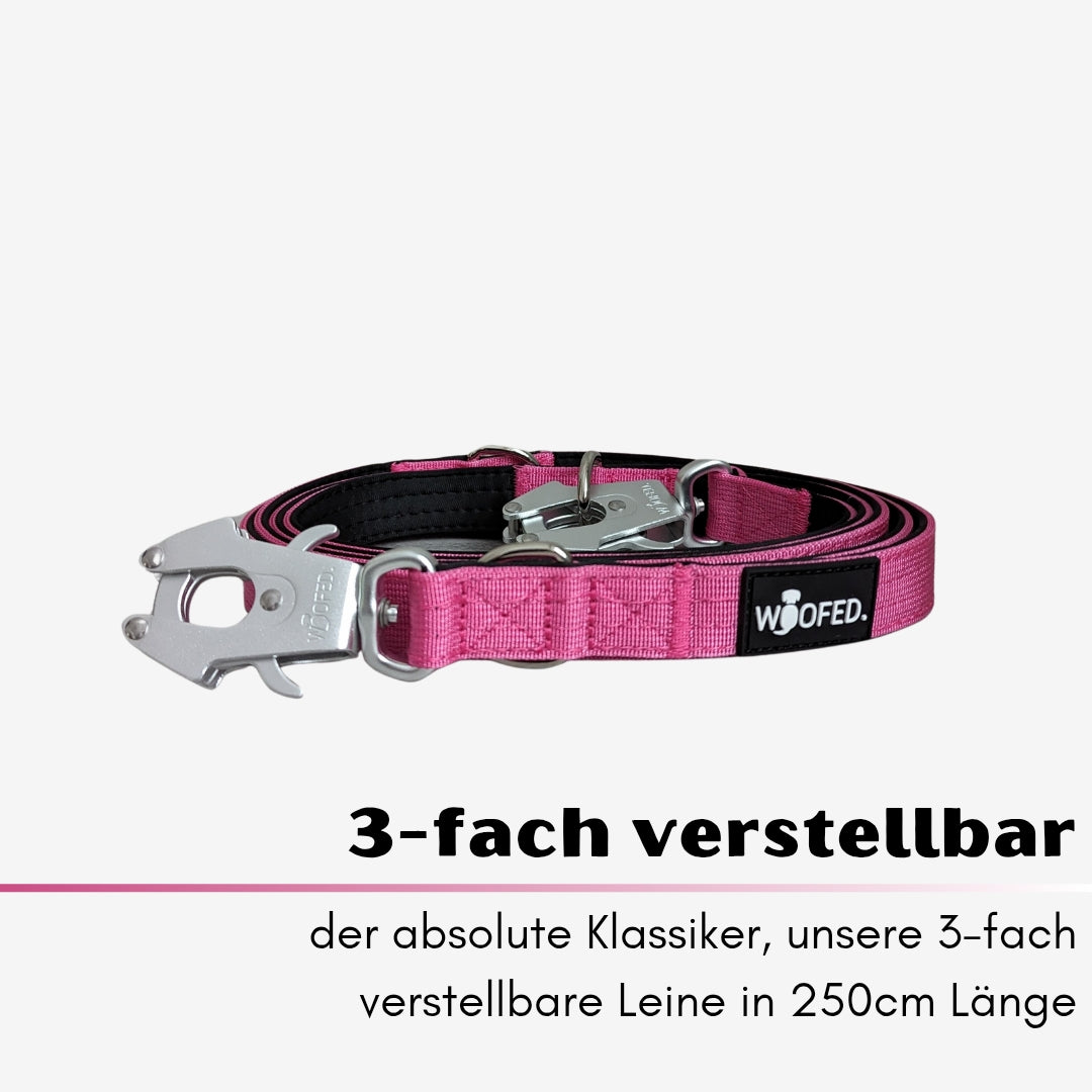 taktische Nylon Führleine Raspberry