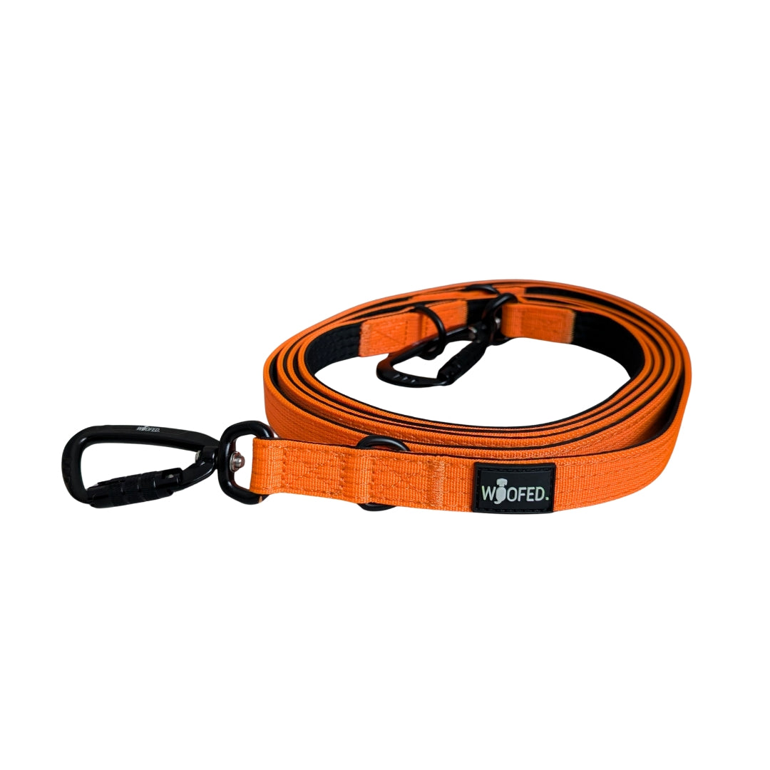 Nylon Pro Führleine Safety Orange