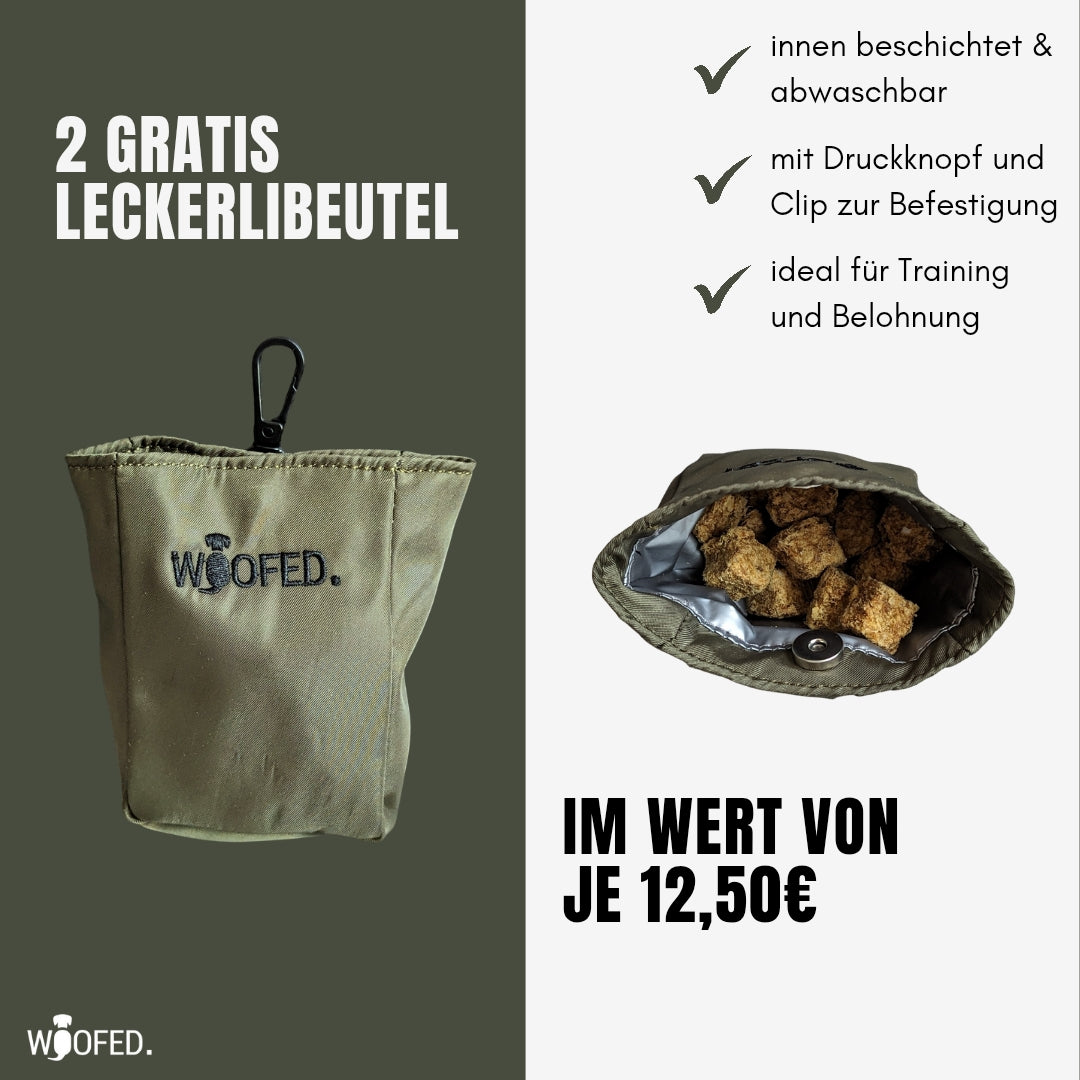 Multifunktionale Gassitasche - 2 in 1 Bauchtasche & Schultertasche Oliv