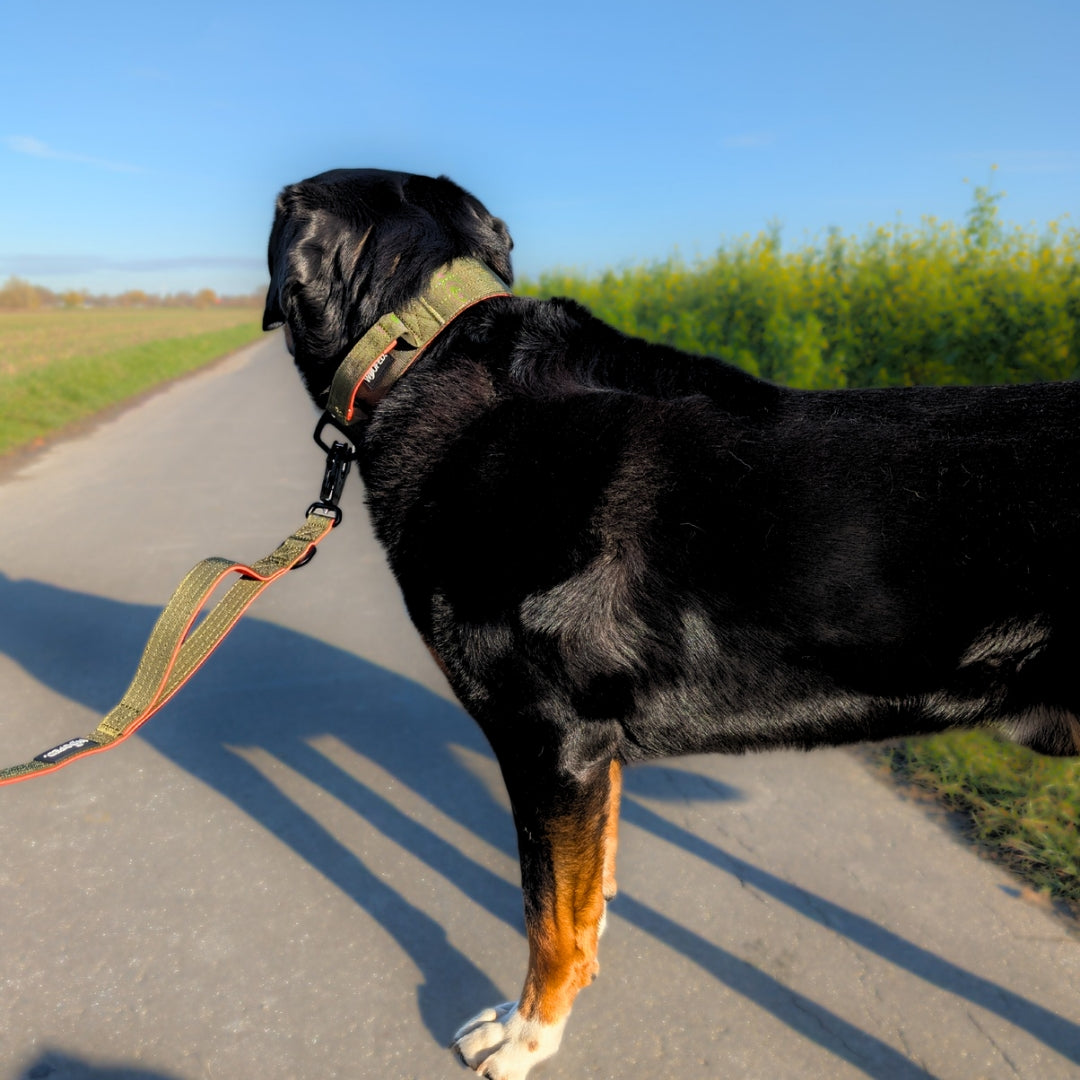 taktische Nylon Führleine Hunter Glow