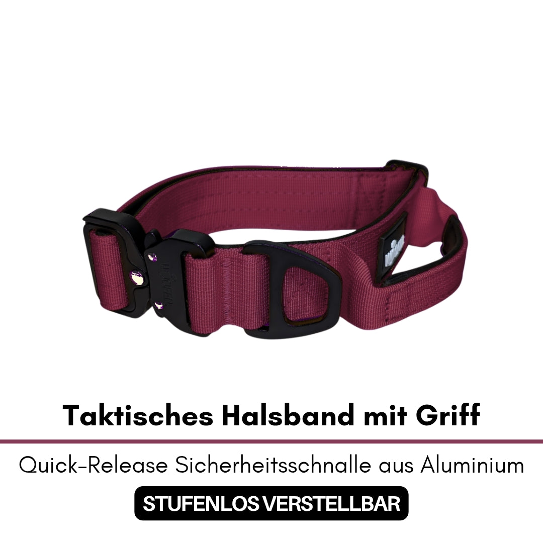 Halsband-Leinen-Set Nylon Bordeaux