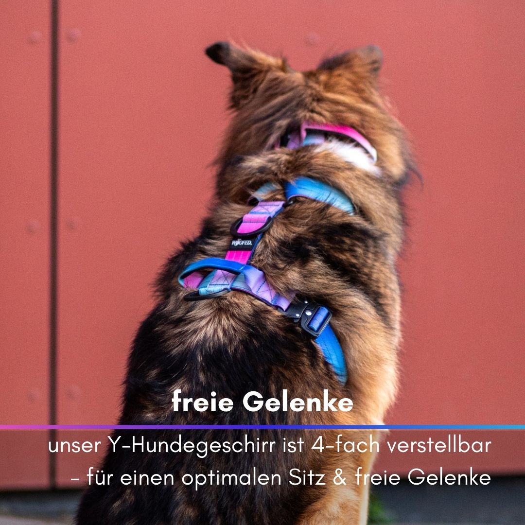Y-Hundegeschirr 4fach-verstellbar mit Griff und Sicherheitsschnallen Pink Blue Sky - ultraleicht
