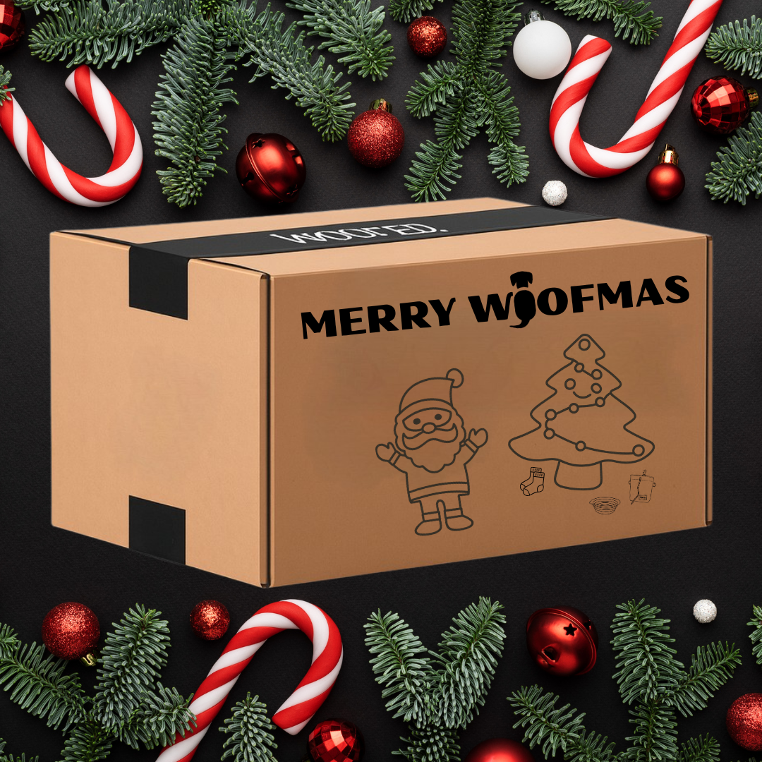 Braune Kartonbox mit 'MERRY WOOFMAS'-Aufdruck, schräg, umgeben von Tannenzweigen, Zuckerstangen und Weihnachtskugeln