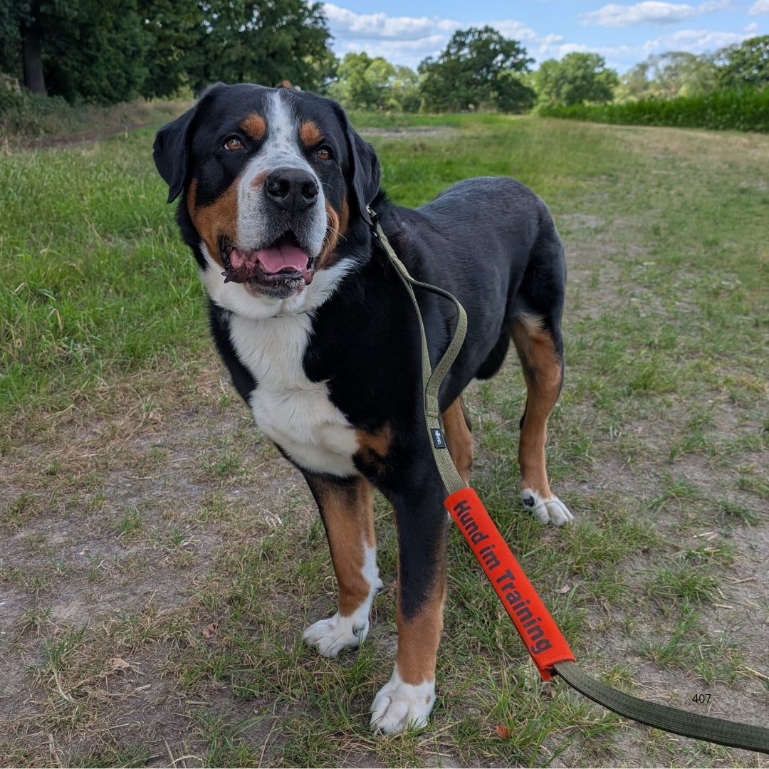 Leinen Banderole "Hund im Training"