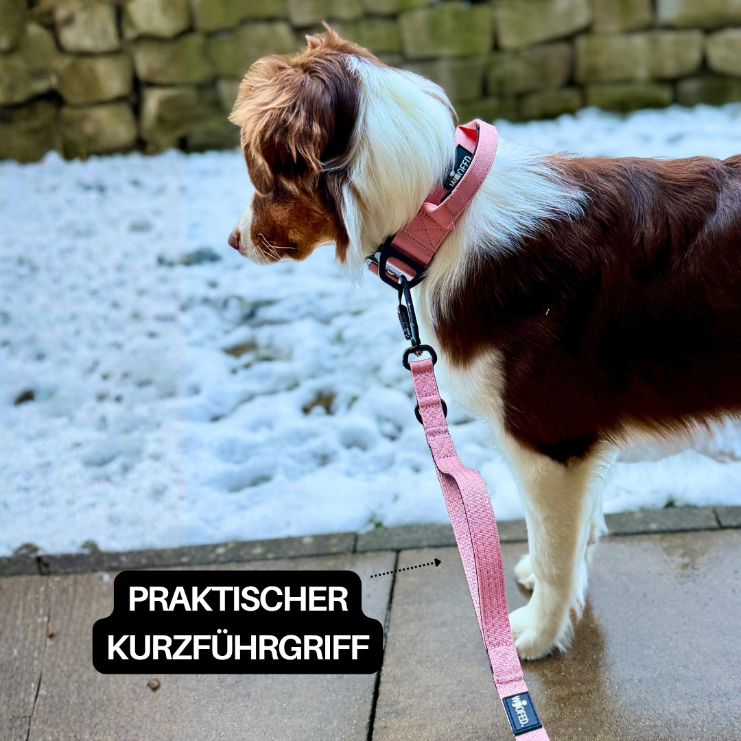 Nylon Pro Führleine Dusty Rose