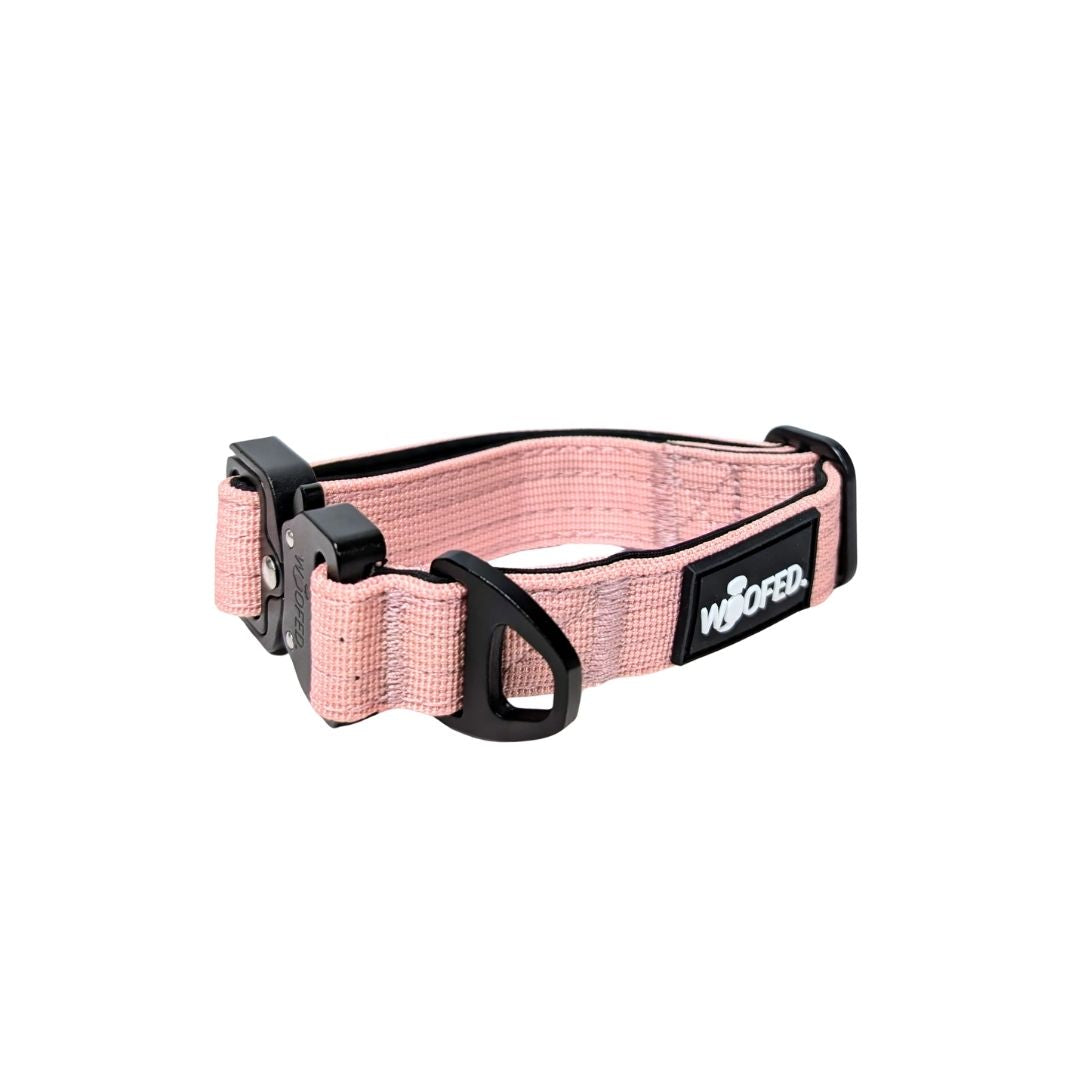 Nylon Tactical Halsband fr kleine Hunde Dusty Rose