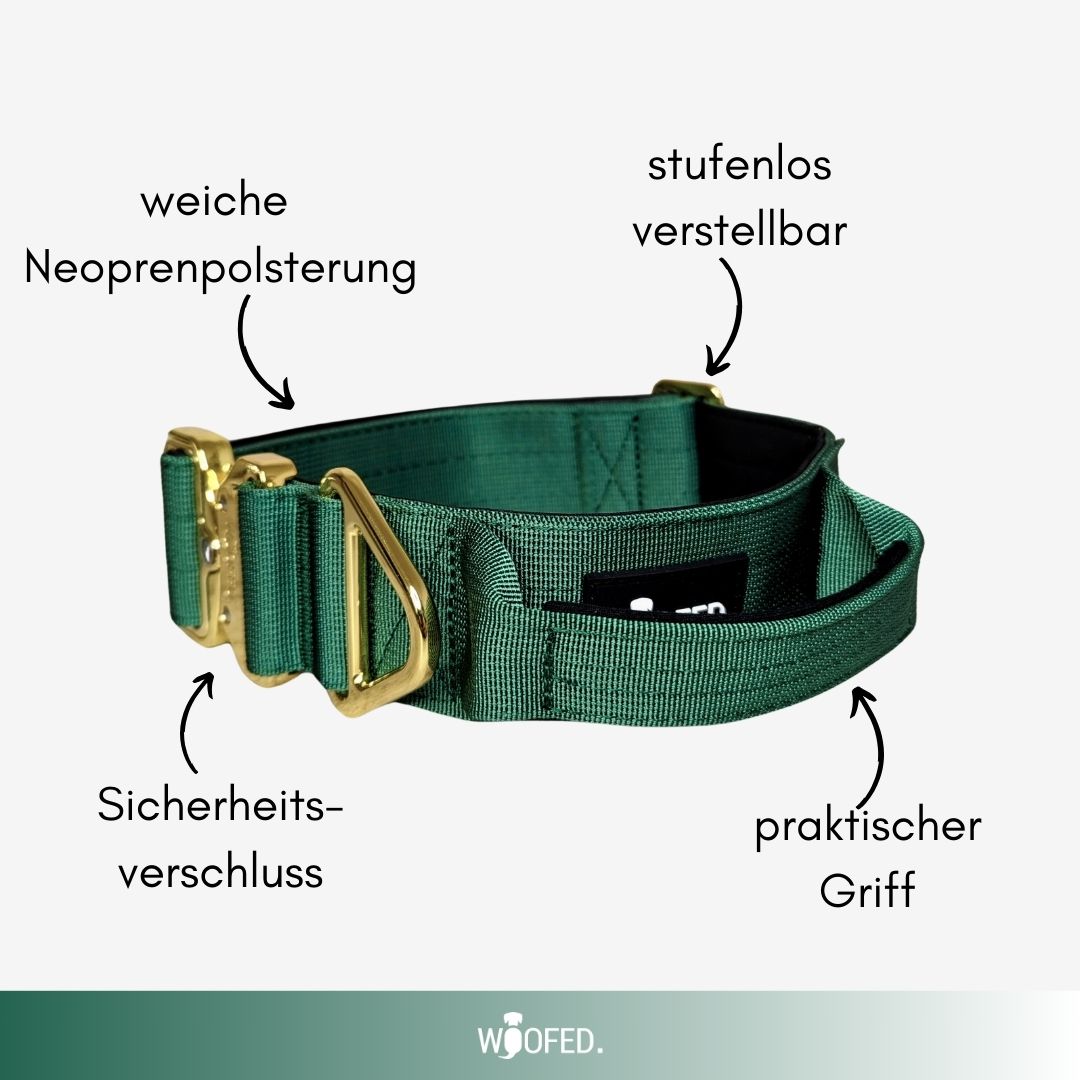 taktisches Nylon Halsband Emerald Green