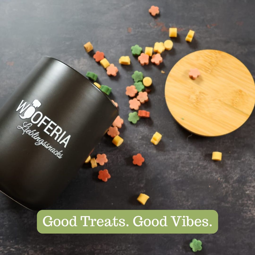 Snack & Store Bundle