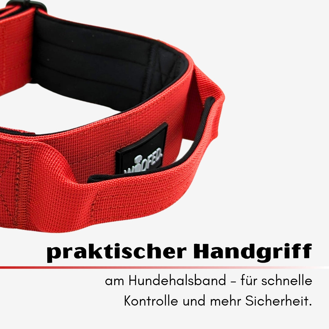 Nylon Tactical Collar Rosso Red